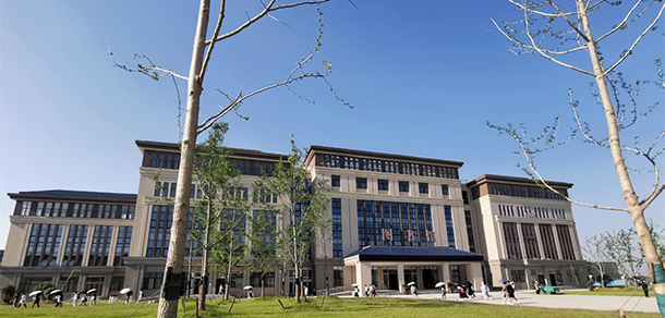 我的大學(xué)-大學(xué)志