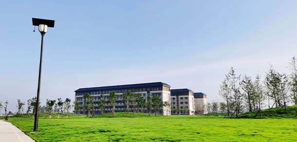我的大學(xué)-大學(xué)志