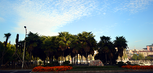 長江大學(xué)文理學(xué)院