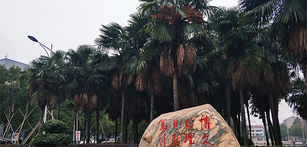長江大學(xué)文理學(xué)院