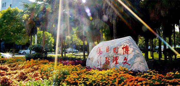 我的大學(xué)-大學(xué)志
