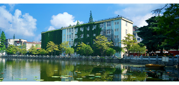 我的大學(xué)-大學(xué)志