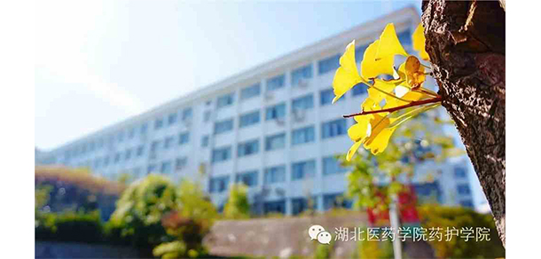 我的大學(xué)-大學(xué)志