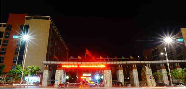 我的大學(xué)-大學(xué)志
