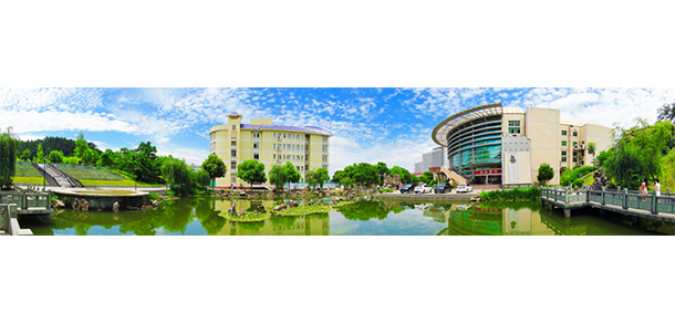 我的大學(xué)-大學(xué)志