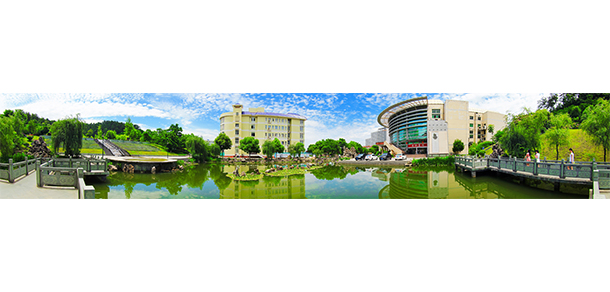 我的大學(xué)-大學(xué)志
