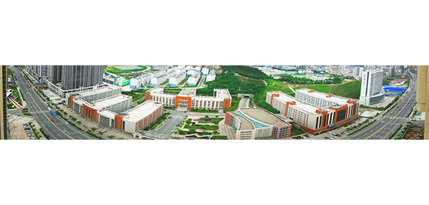 我的大學(xué)-大學(xué)志