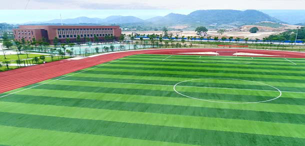 我的大學(xué)-大學(xué)志