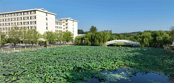 我的大學(xué)-大學(xué)志