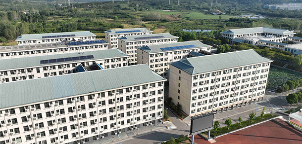 我的大學(xué)-大學(xué)志