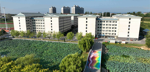 我的大學(xué)-大學(xué)志