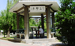 歷史沿革（概）校史