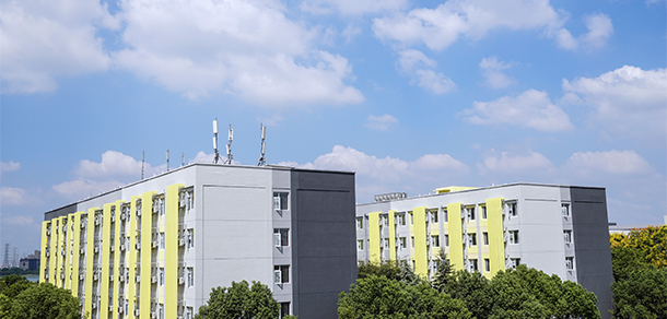 我的大學-大學志