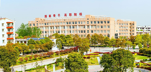 我的大學(xué)-大學(xué)志