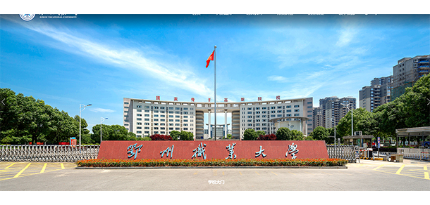 我的大學(xué)-大學(xué)志