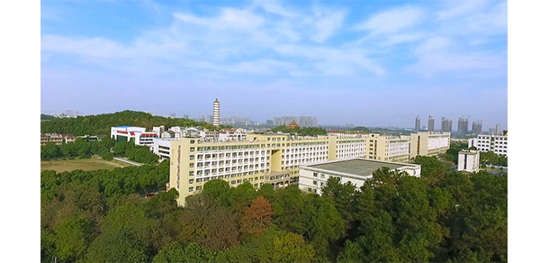 我的大學(xué)-大學(xué)志