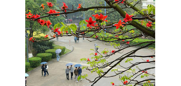 廣東東軟學院 - 最美大學