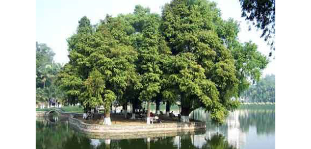 華南理工大學(xué)