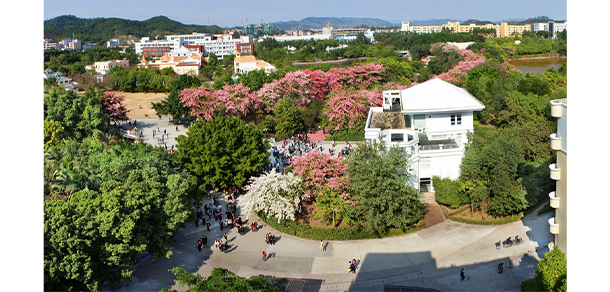 廣州軟件學院 - 最美院校