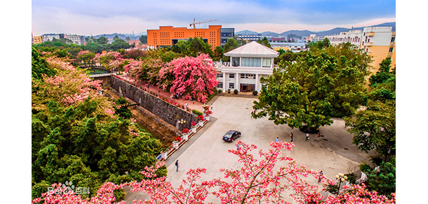 廣州軟件學院 - 最美院校
