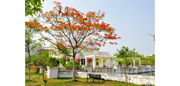 廣州軟件學院 - 最美大學
