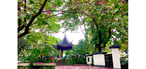 廣東外語外貿(mào)大學(xué)南國(guó)商學(xué)院 - 最美院校