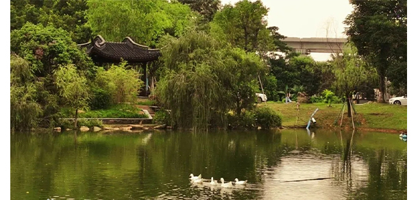 廣東外語外貿(mào)大學(xué)南國(guó)商學(xué)院 - 最美大學(xué)