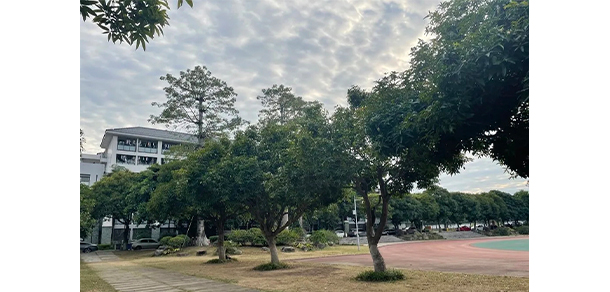 廣東外語外貿(mào)大學(xué)南國(guó)商學(xué)院 - 最美大學(xué)
