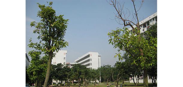 揭陽(yáng)職業(yè)技術(shù)學(xué)院 - 最美大學(xué)