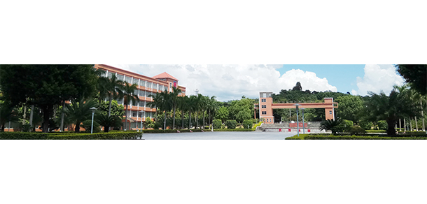 廣州南洋理工職業(yè)學院 - 最美大學