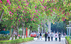 廣州南洋理工職業(yè)學院 - 我的大學