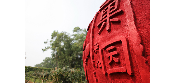 我的大學(xué)-大學(xué)志
