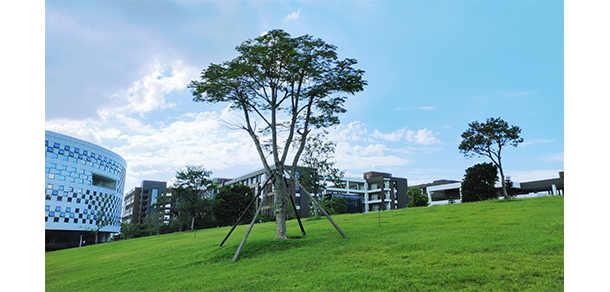 廣東酒店管理職業(yè)技術(shù)學院 - 最美大學