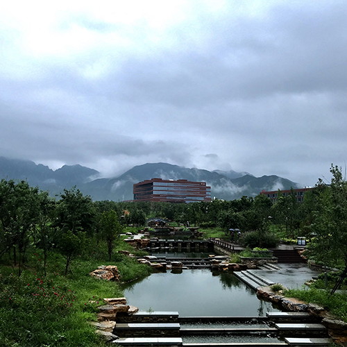 北京化工大學(xué) - 棠梨落雨 · 陌上花開