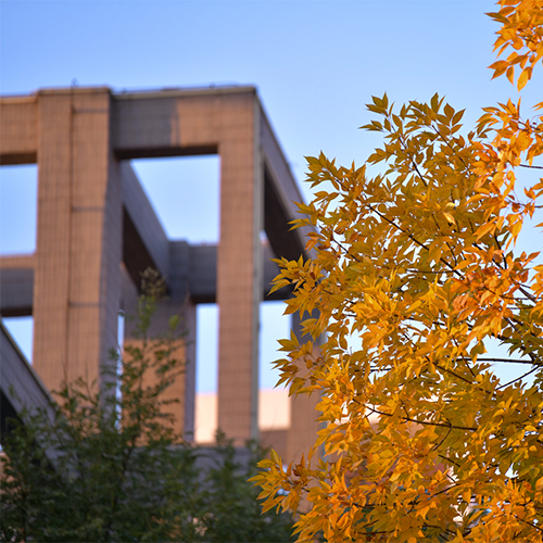 北京工商大學(xué)-大學(xué)文化