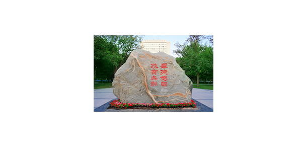 我的大學(xué)-大學(xué)志