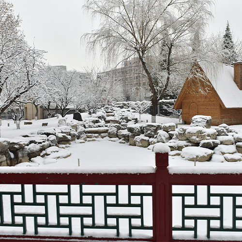 北京石油化工學(xué)院 - 棠梨落雨 · 陌上花開