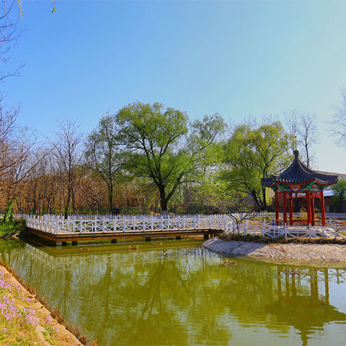 大學(xué)志