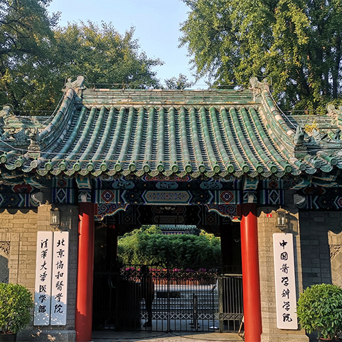 最美校園