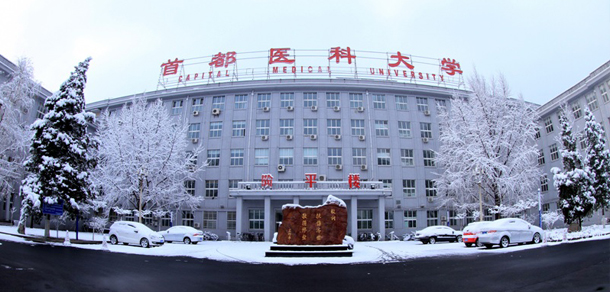 大學校志：校名、校標、校訓、校徽、校旗、校歌