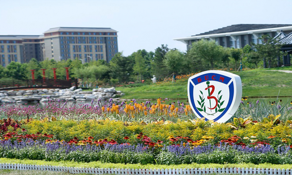 中國最美大學