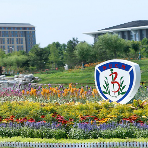 最美大學