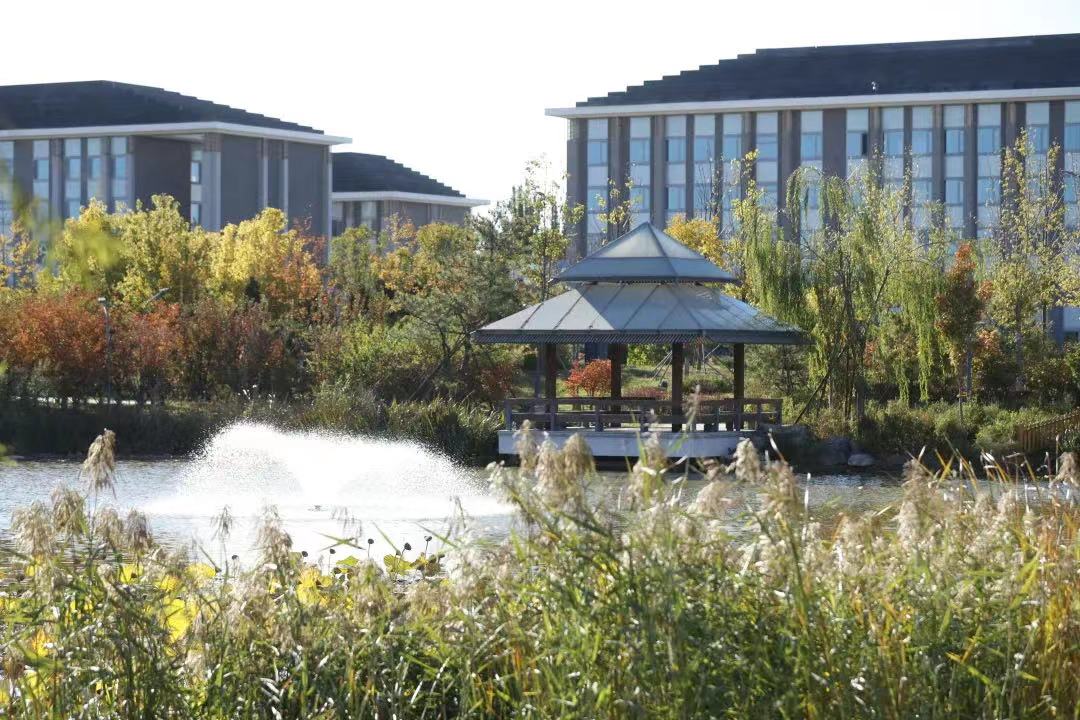 北京中醫(yī)藥大學 我的大學