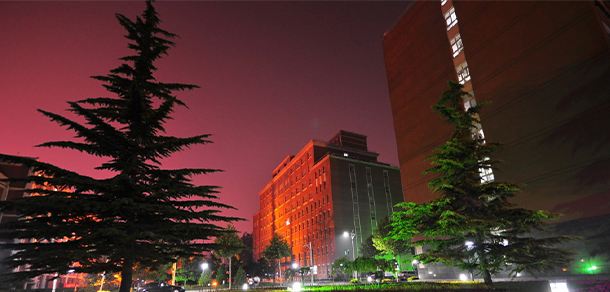 我的大學(xué)-大學(xué)志