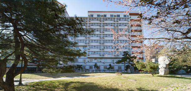 我的大學(xué)-大學(xué)志