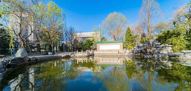 我的大學(xué)-大學(xué)志