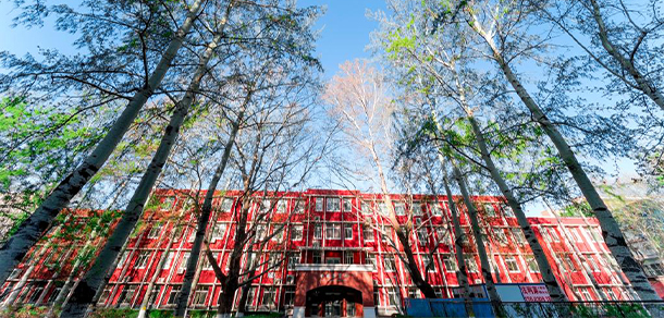 我的大學(xué)-大學(xué)志