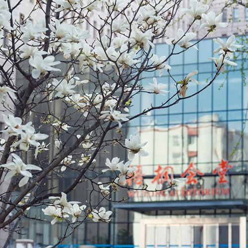 最美校園