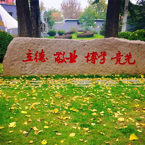 大學簡介