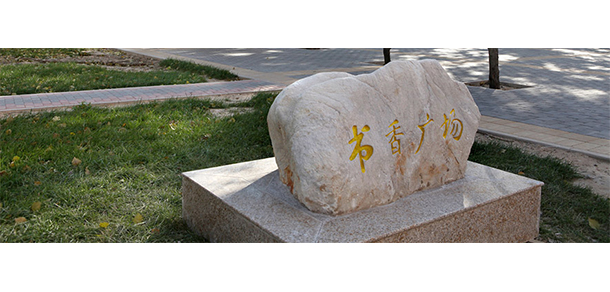 對外經(jīng)濟貿(mào)易大學 - 最美大學